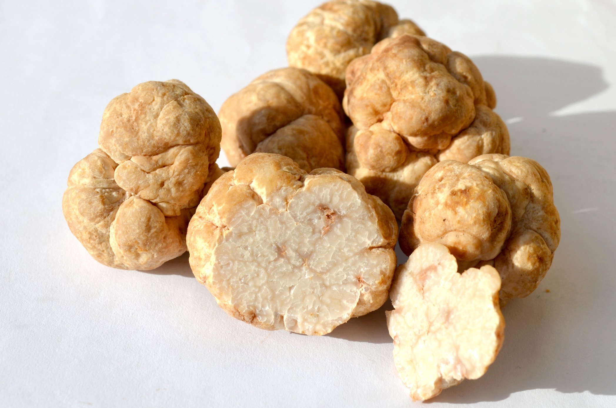 Tuber Borchii - Spring White Truffles