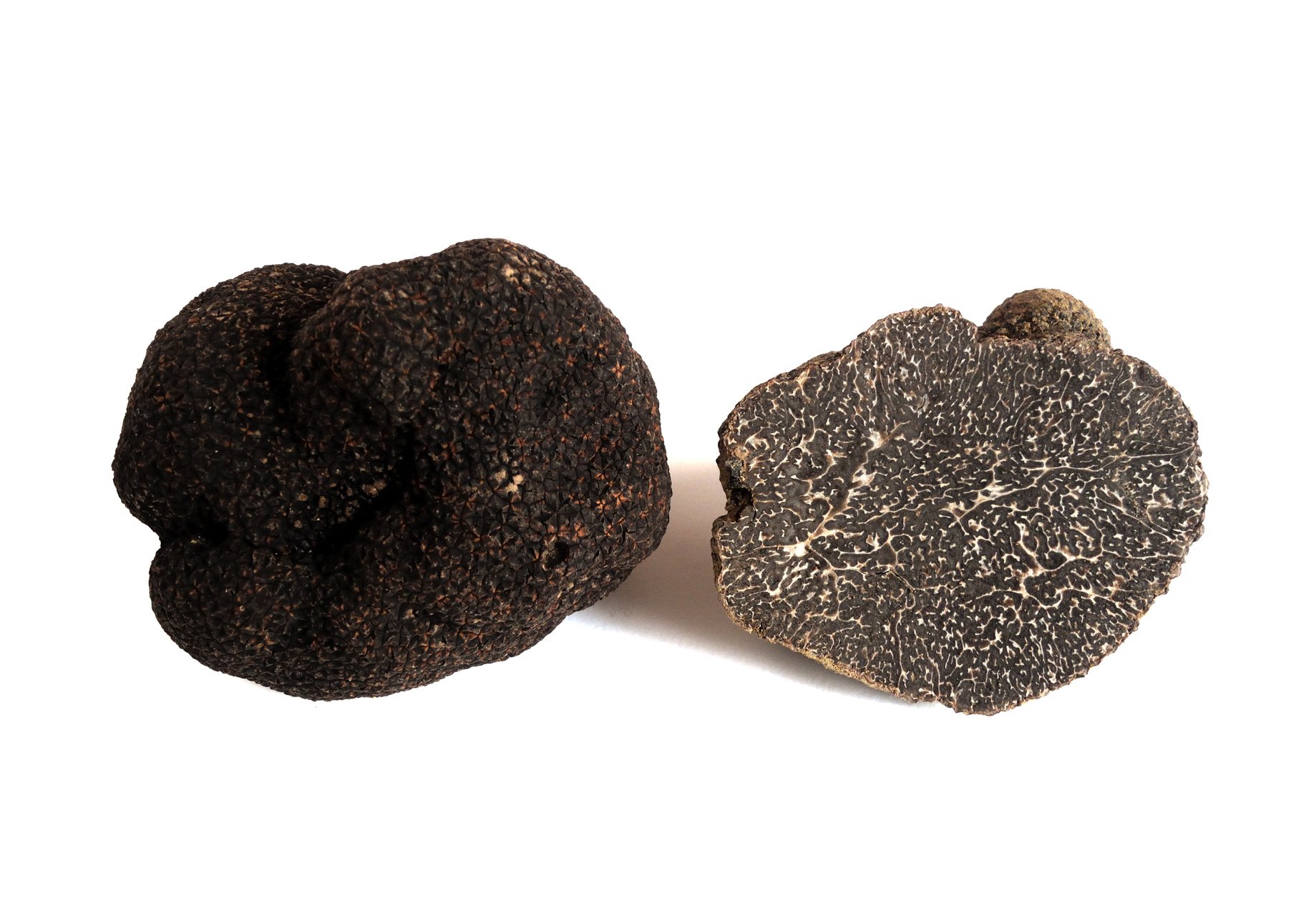 black truffle